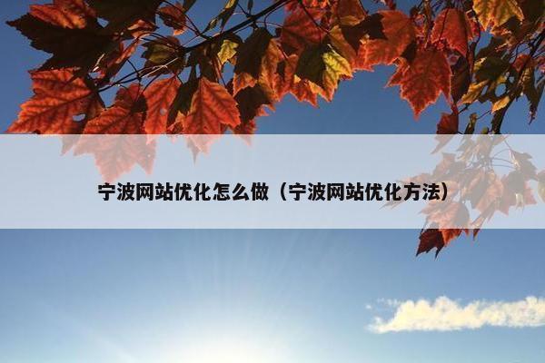 宁波网站优化怎么做（宁波网站优化方法）
