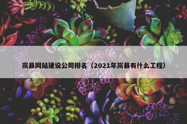 岚县网站建设公司排名（2021年岚县有什么工程）