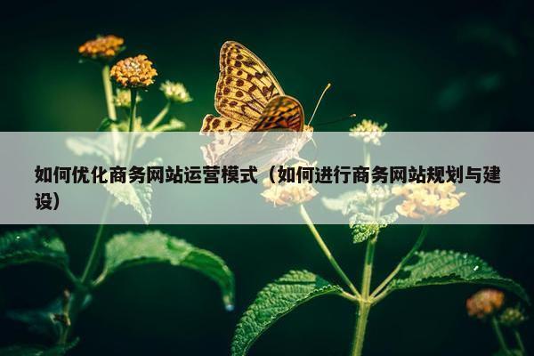如何优化商务网站运营模式（如何进行商务网站规划与建设）