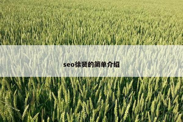 seo徐贤的简单介绍