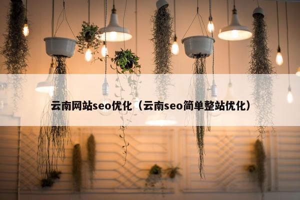 云南网站seo优化（云南seo简单整站优化）