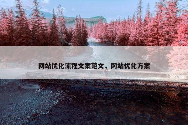 网站优化流程文案范文，网站优化方案