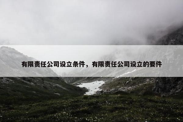 有限责任公司设立条件，有限责任公司设立的要件