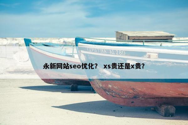 永新网站seo优化？ xs贵还是x贵？