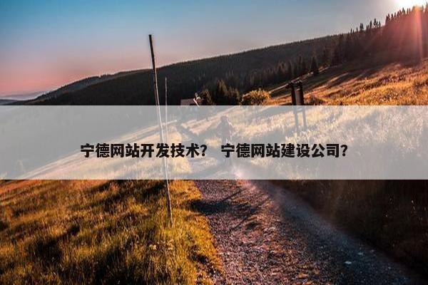 宁德网站开发技术？ 宁德网站建设公司？