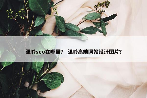 温岭seo在哪里? 温岭高端网站设计图片? 温岭seo在哪里? 温岭高端网站设计图片?
