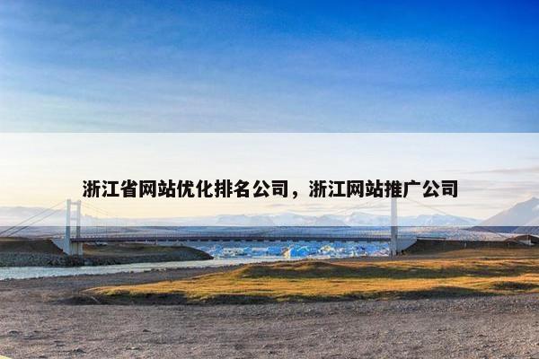 浙江省网站优化排名公司，浙江网站推广公司