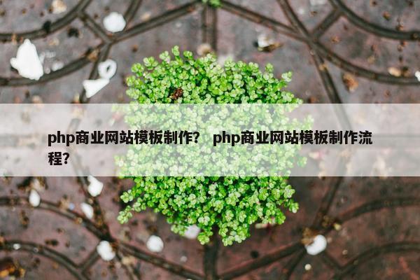 php商业网站模板制作? php商业网站模板制作流程? php商业网站模板制作? php商业网站模板制作流程?