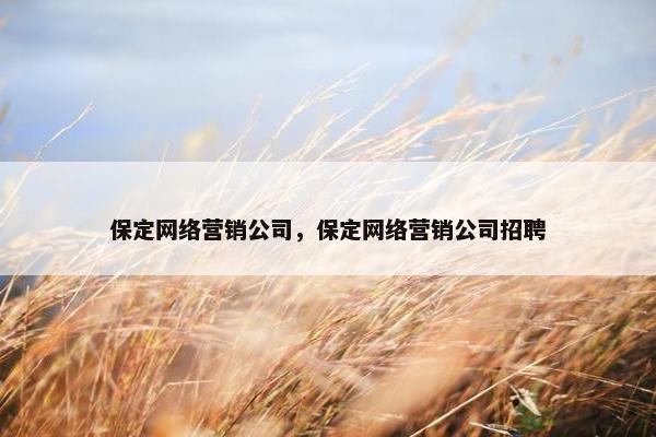 保定网络营销公司，保定网络营销公司招聘