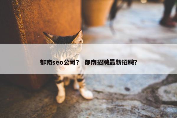 郁南seo公司？ 郁南招聘最新招聘？