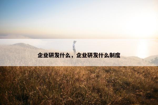 企业研发什么，企业研发什么制度
