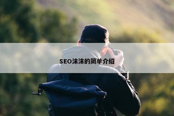 SEO沫沫的简单介绍 SEO沫沫的简单介绍