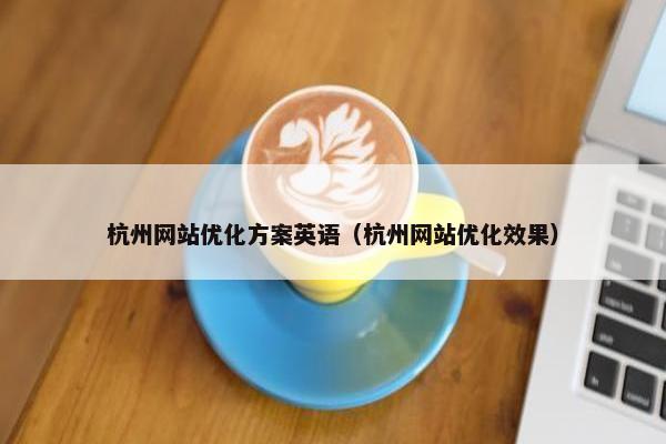 杭州网站优化方案英语（杭州网站优化效果）