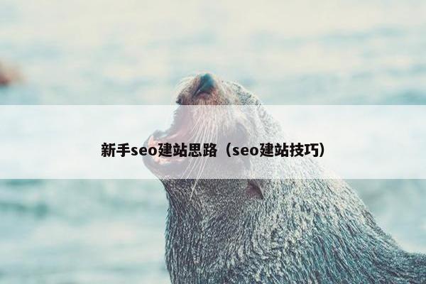 新手seo建站思路(seo建站技巧) 新手seo建站思路(seo建站技巧)