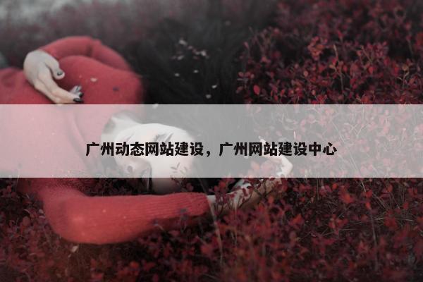 广州动态网站建设，广州网站建设中心