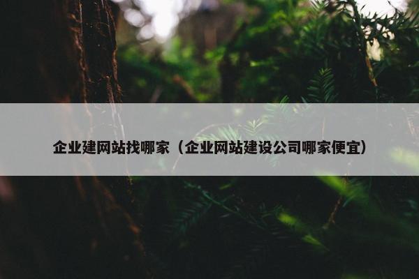 企业建网站找哪家（企业网站建设公司哪家便宜）