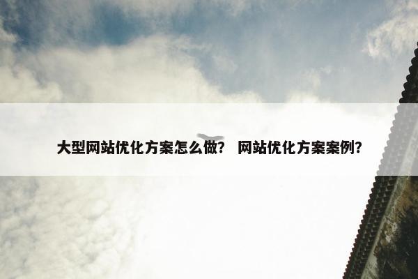 大型网站优化方案怎么做？ 网站优化方案案例？