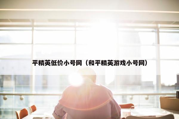 平精英低价小号网（和平精英游戏小号网）