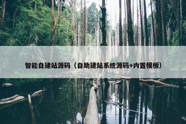 智能自建站源码（自助建站系统源码+内置模板）