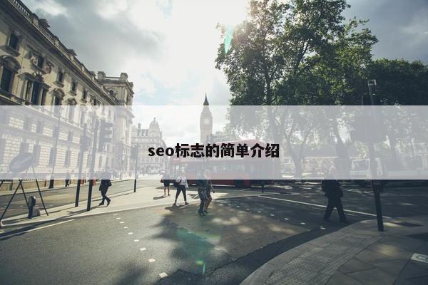 seo标志的简单介绍