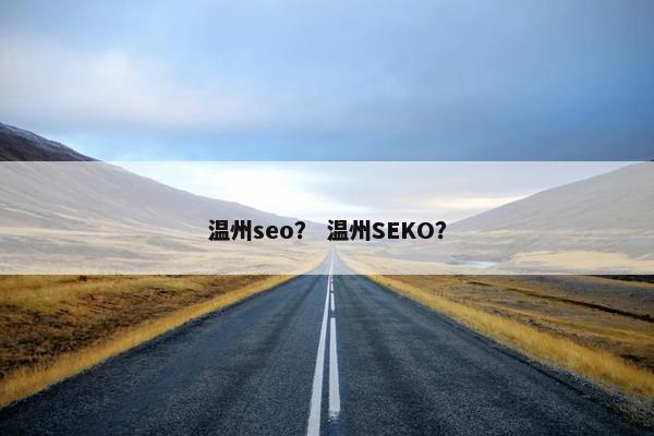 温州seo？ 温州SEKO？