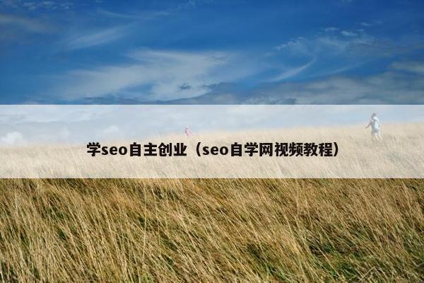 学seo自主创业（seo自学网视频教程）