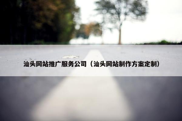 汕头网站推广服务公司（汕头网站制作方案定制）