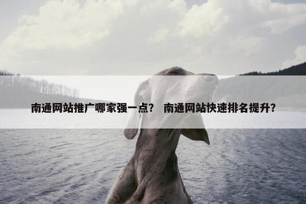 南通网站推广哪家强一点？ 南通网站快速排名提升？