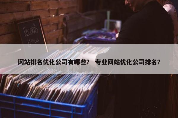 网站排名优化公司有哪些？ 专业网站优化公司排名？
