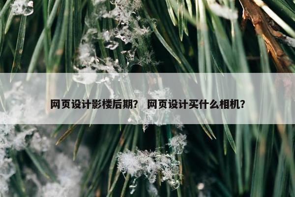 网页设计影楼后期？ 网页设计买什么相机？