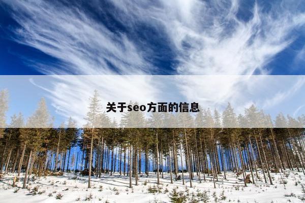 关于seo方面的信息