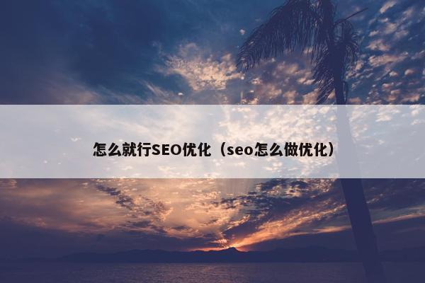 怎么就行SEO优化（seo怎么做优化）