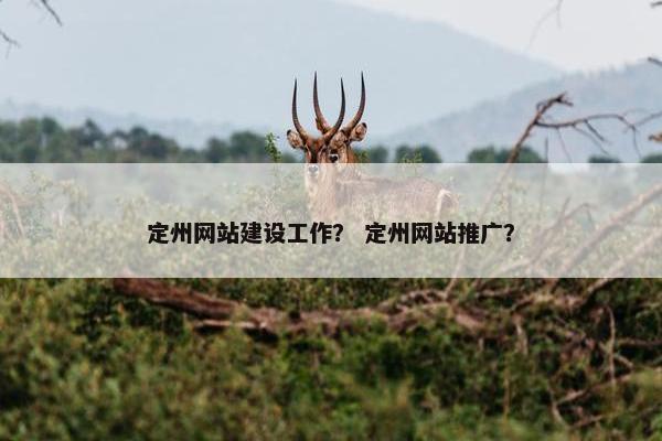 定州网站建设工作？ 定州网站推广？