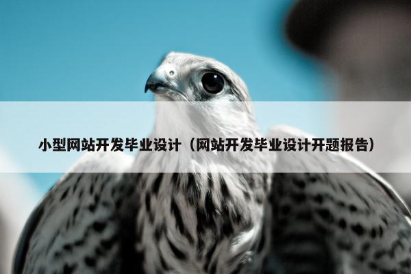 小型网站开发毕业设计（网站开发毕业设计开题报告）