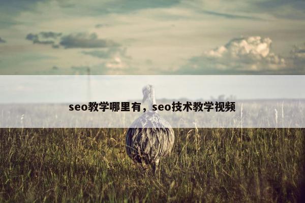 seo教学哪里有，seo技术教学视频