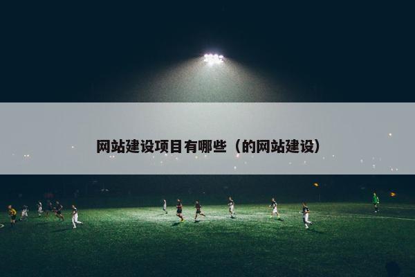 网站建设项目有哪些（的网站建设）