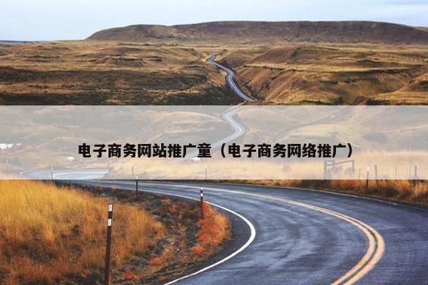 电子商务网站推广童（电子商务网络推广）