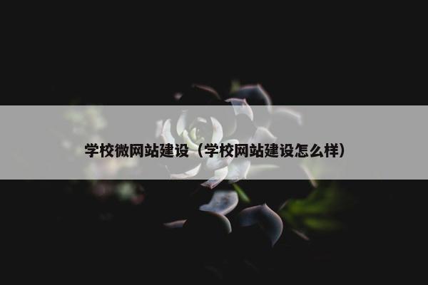 学校微网站建设（学校网站建设怎么样）