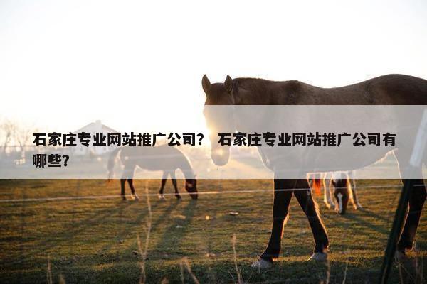 石家庄专业网站推广公司？ 石家庄专业网站推广公司有哪些？