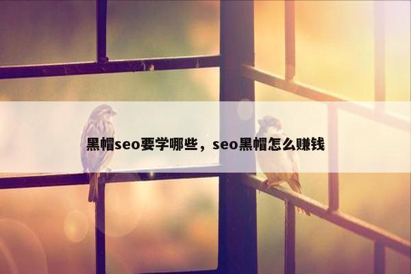 黑帽seo要学哪些，seo黑帽怎么赚钱