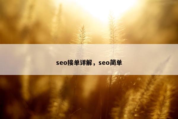 seo接单详解，seo简单