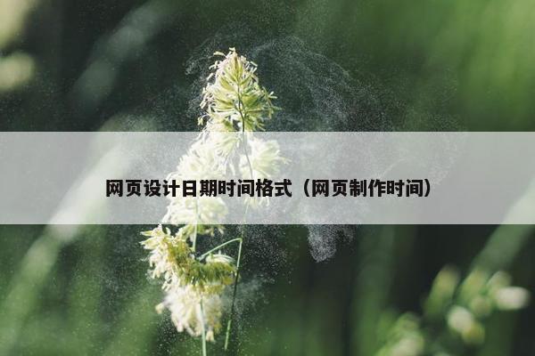 网页设计日期时间格式（网页制作时间）