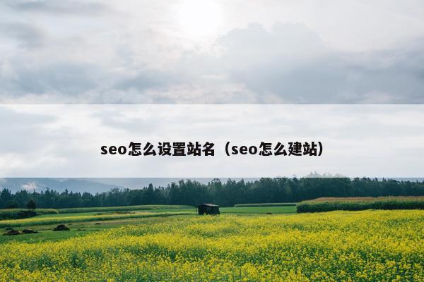 seo怎么设置站名（seo怎么建站）