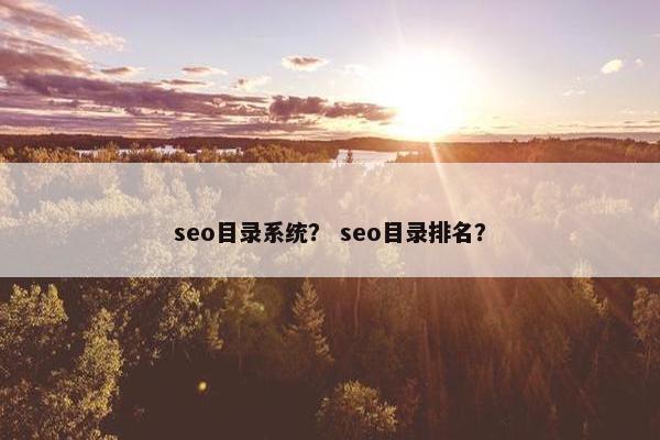 seo目录系统？ seo目录排名？