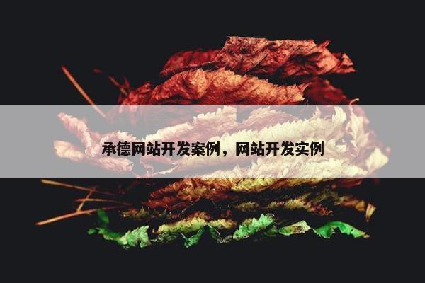 承德网站开发案例，网站开发实例