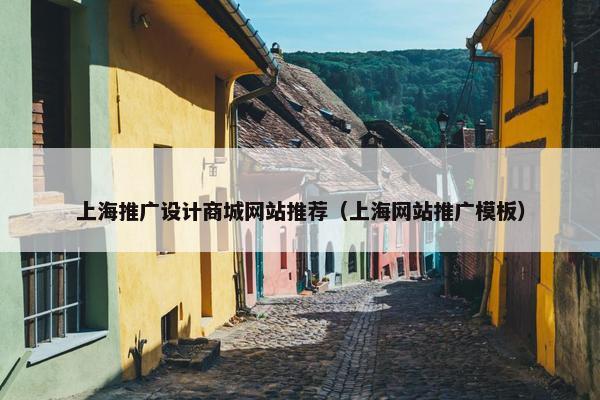 上海推广设计商城网站推荐（上海网站推广模板）