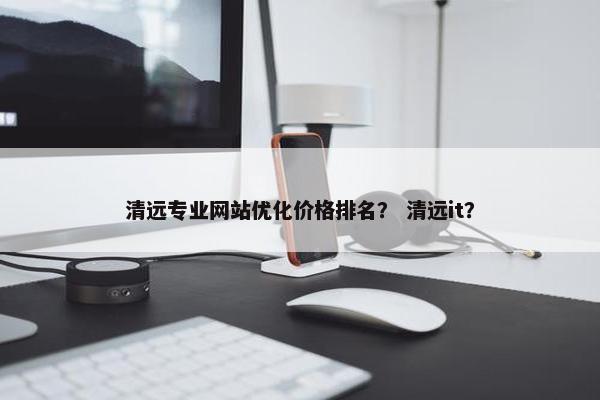 清远专业网站优化价格排名？ 清远it？