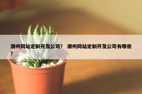 潮州网站定制开发公司？ 潮州网站定制开发公司有哪些？