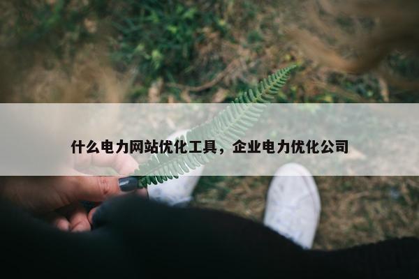 什么电力网站优化工具，企业电力优化公司