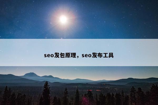 seo发包原理，seo发布工具